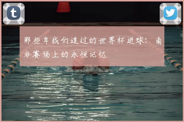 那些年我们追过的世界杯进球:南非赛场上的永恒记忆