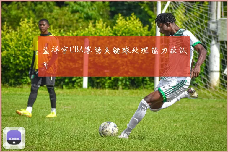 孟祥宇CBA赛场关键球处理能力获认可