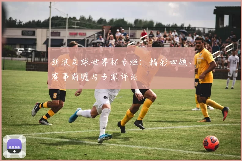 新浪足球世界杯专栏:精彩回顾、赛事前瞻与专家评论
