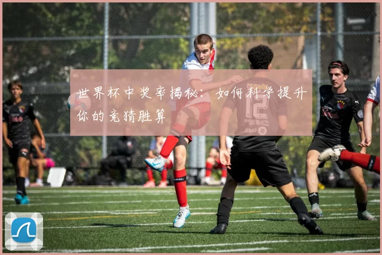 世界杯中奖率揭秘:如何科学提升你的竞猜胜算