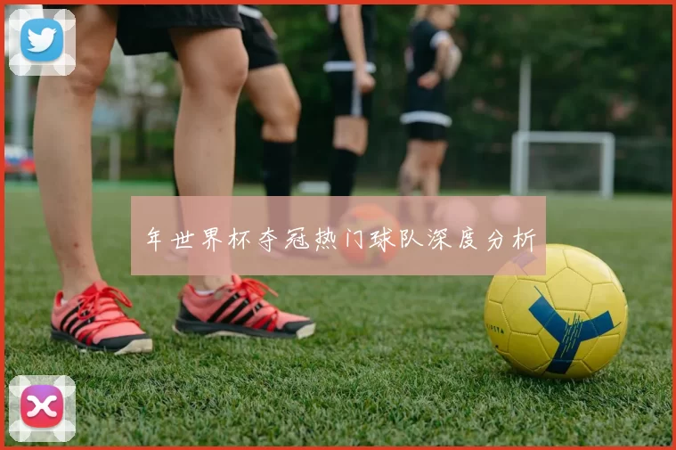年世界杯夺冠热门球队深度分析