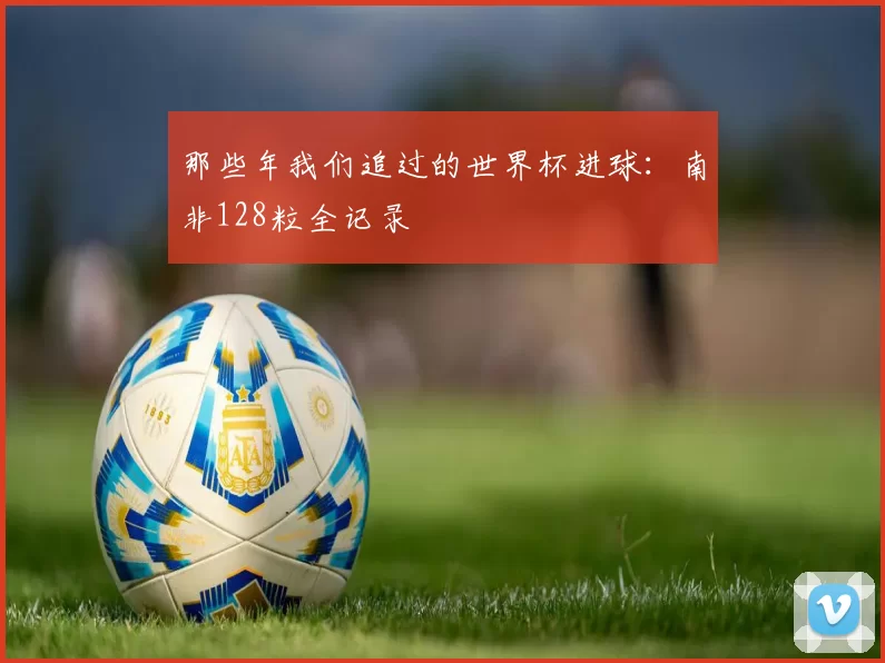 那些年我们追过的世界杯进球：南非128粒全记录