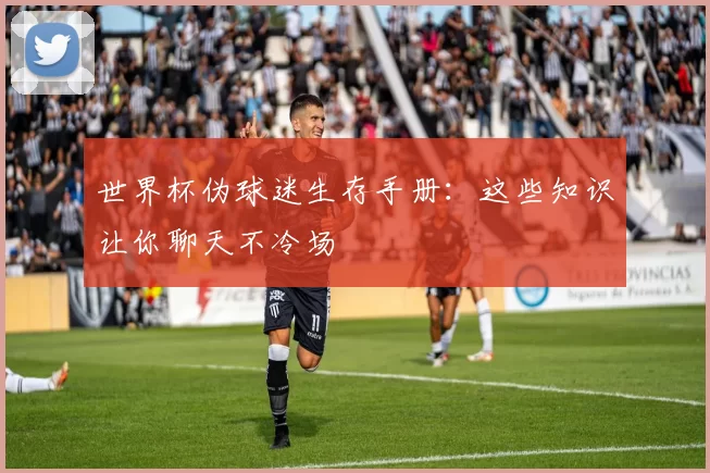 世界杯伪球迷生存手册:这些知识让你聊天不冷场