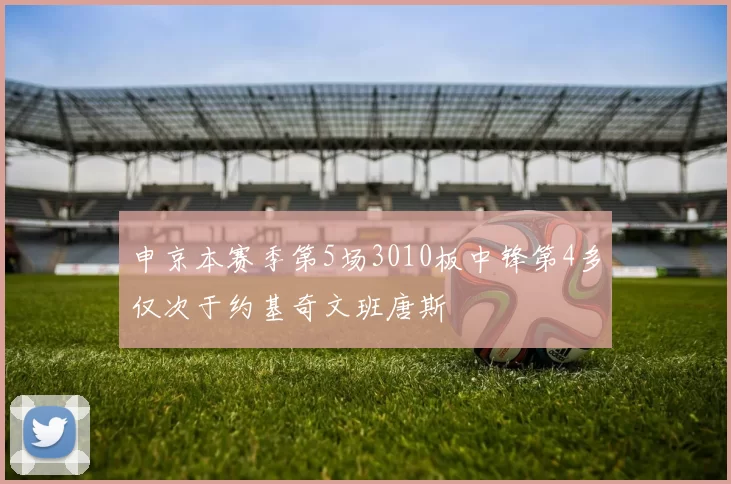 申京本赛季第5场3010板中锋第4多仅次于约基奇文班唐斯