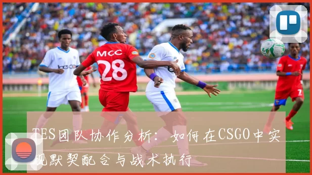 TES团队协作分析:如何在CSGO中实现默契配合与战术执行
