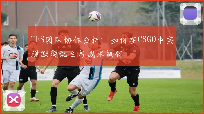 TES团队协作分析：如何在CSGO中实现默契配合与战术执行