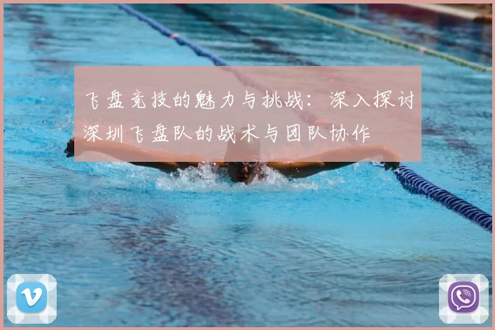 飞盘竞技的魅力与挑战：深入探讨深圳飞盘队的战术与团队协作