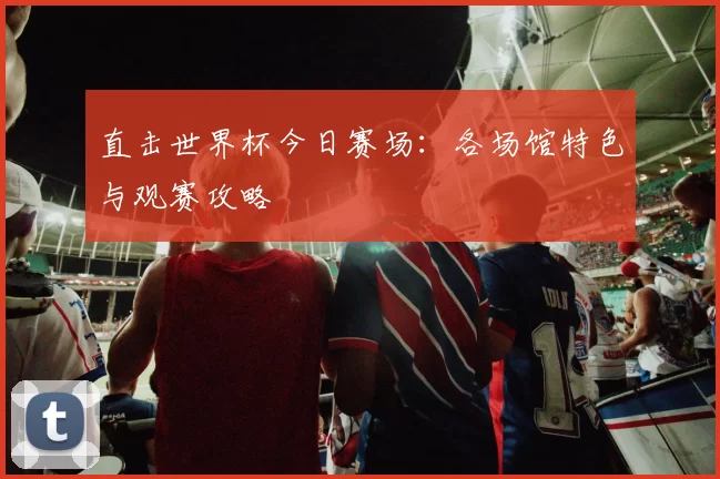 直击世界杯今日赛场:各场馆特色与观赛攻略