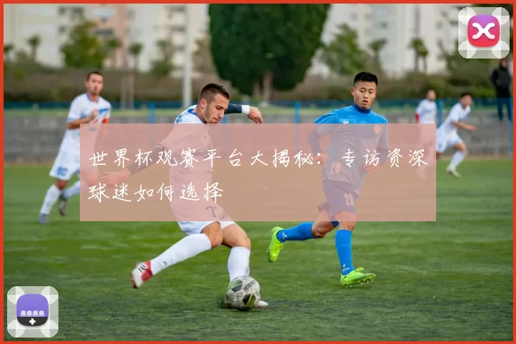 世界杯观赛平台大揭秘:专访资深球迷如何选择