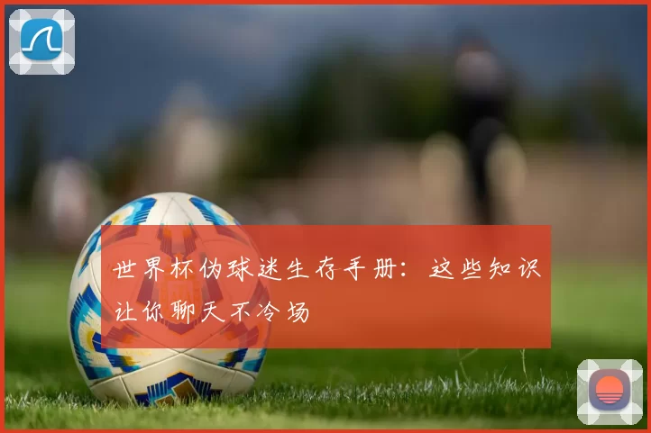 世界杯伪球迷生存手册:这些知识让你聊天不冷场