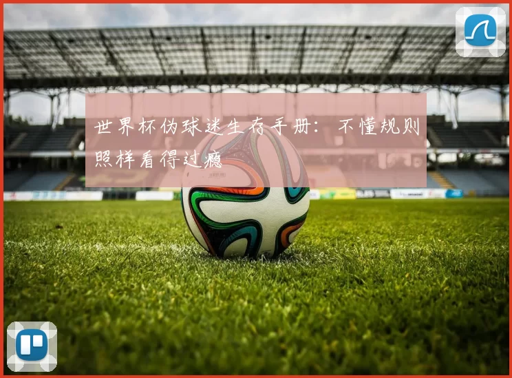 世界杯伪球迷生存手册:不懂规则照样看得过瘾