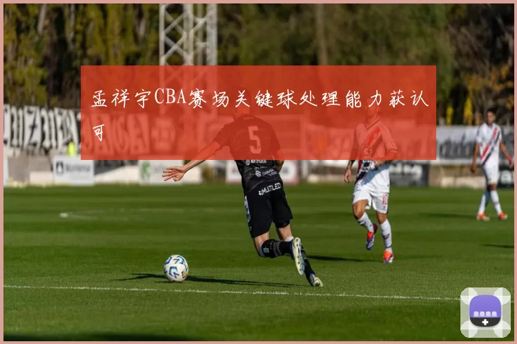孟祥宇CBA赛场关键球处理能力获认可