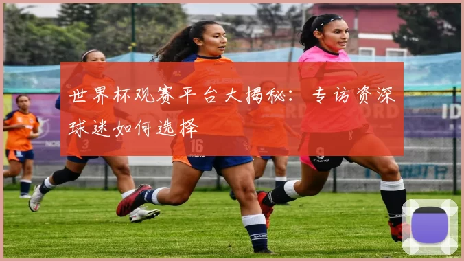 世界杯观赛平台大揭秘：专访资深球迷如何选择
